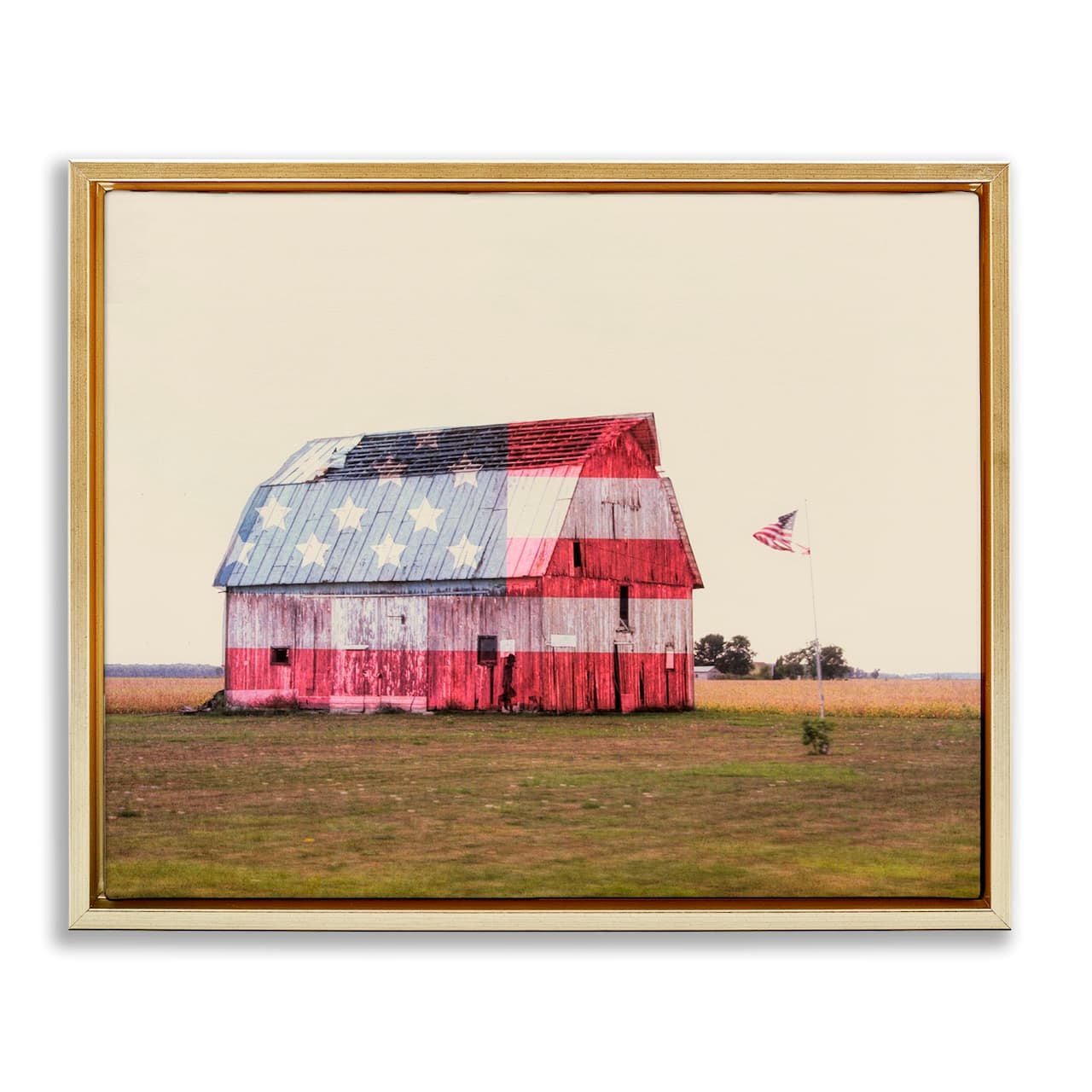 Stupell Industries Americana Farmhouse Barn Floater Framed Art